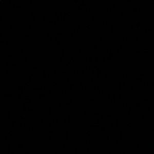 Meet your Posher, Jenni